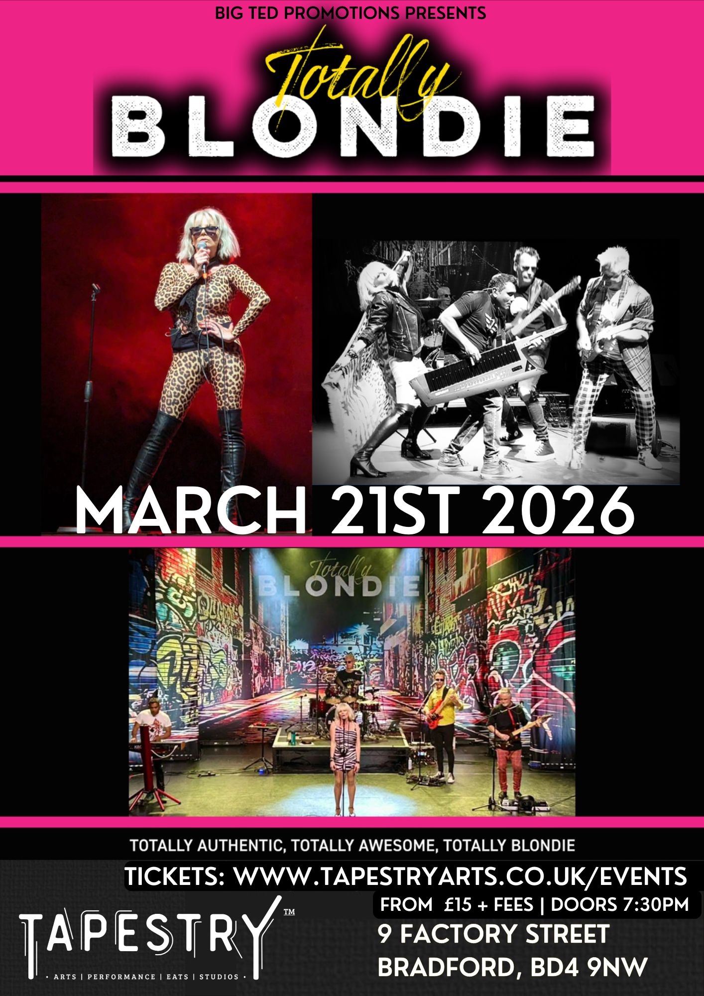 Blondie tribute band bradford live entertainment gig show Leeds huddersfield Halifax